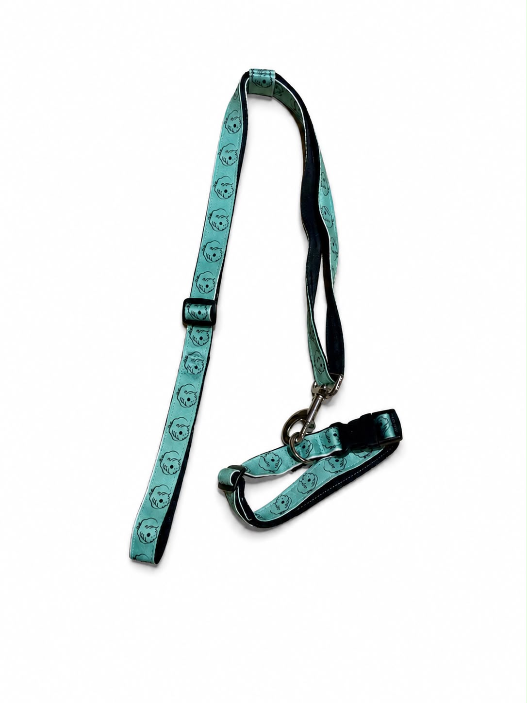 Set de correa y collar talla M turquesa con caritas Frank On The Road