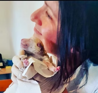 Andrea Ruiz Cristancho, Médica veterinaria — especialista en reproducción