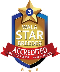 WALA Star Breeder Accredited — WALA-1019-00950