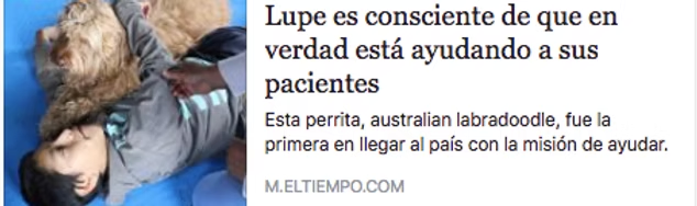 El Tiempo — Lupe es consciente de que está ayudando a sus pacientes