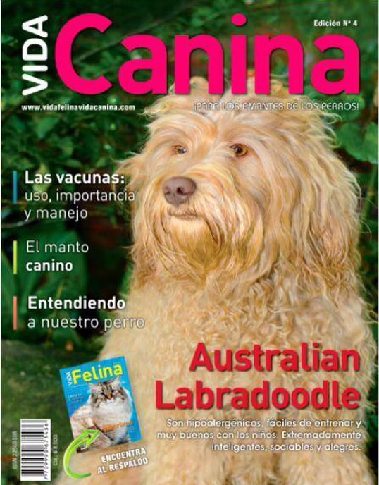 Revista Vida Canina — Portada Edición N° 4 — Australian Labradoodle